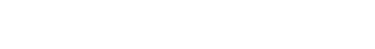 SURVIVOR